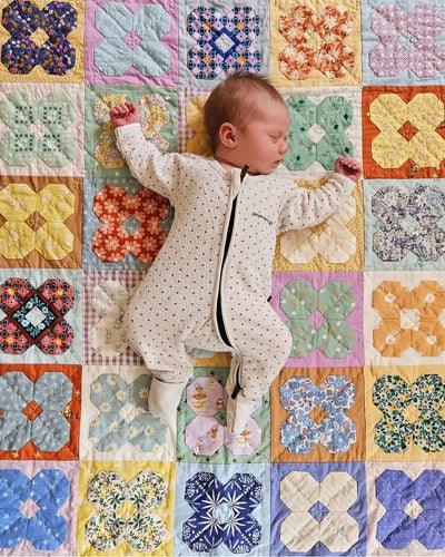 Plenty of Thyme Quilt 2 in 1 Bundle